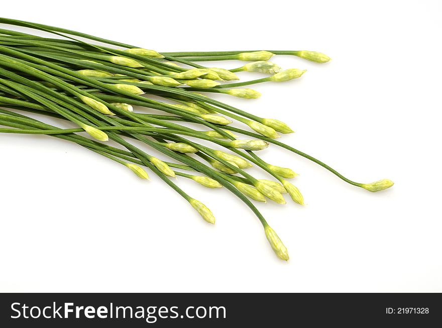 A bunch of garlic chives on white background