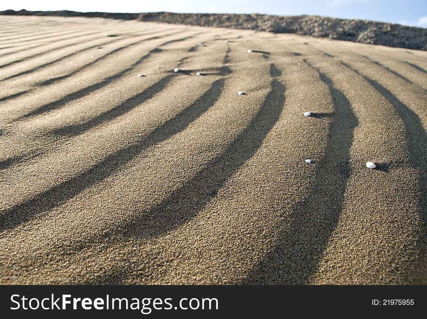 Sand Waves In The Afternoon