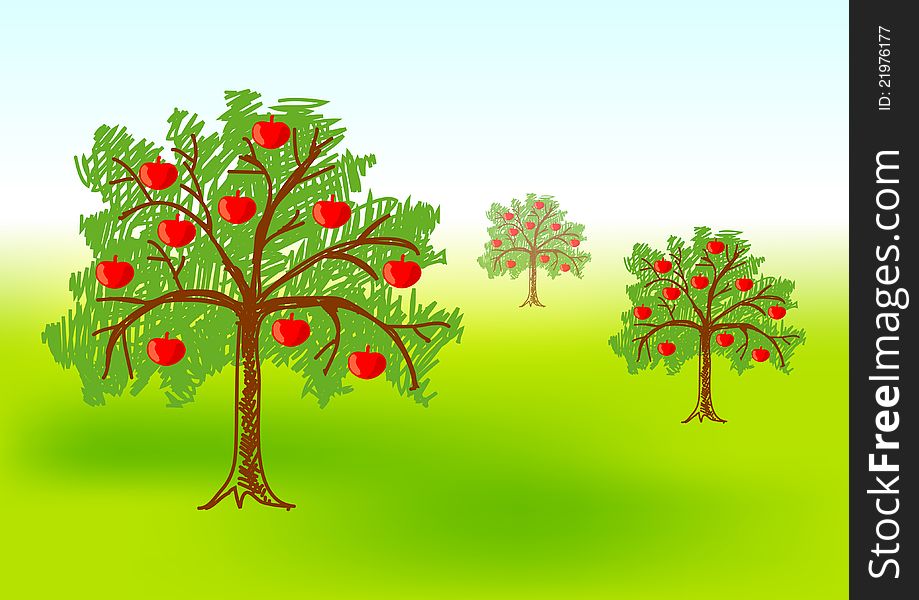 Three apple-trees on green meadow