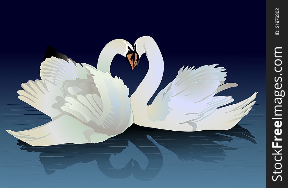 Two swans on a background water