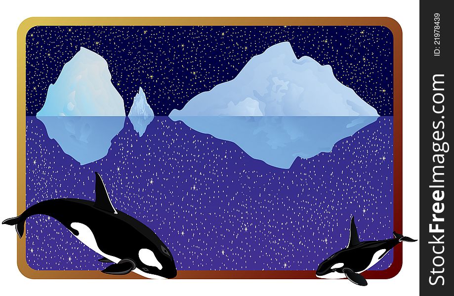 The inhabitants of the Arctic into the background frame to the ocean, icebergs and the night sky. The inhabitants of the Arctic into the background frame to the ocean, icebergs and the night sky