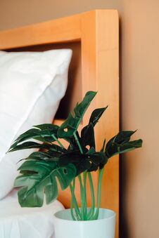 Artificial Plant Decoration In Bedroom Royalty Free Stock Photos Artificial Plant Decoration In Bedroom Royalty Free Stock Photos