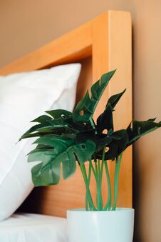 Artificial Plant Decoration In Bedroom Royalty Free Stock Images Artificial Plant Decoration In Bedroom Royalty Free Stock Images