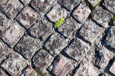 Texture Of Paving Stock Photos