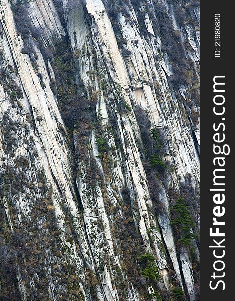 The background of cliff with rocks and trees