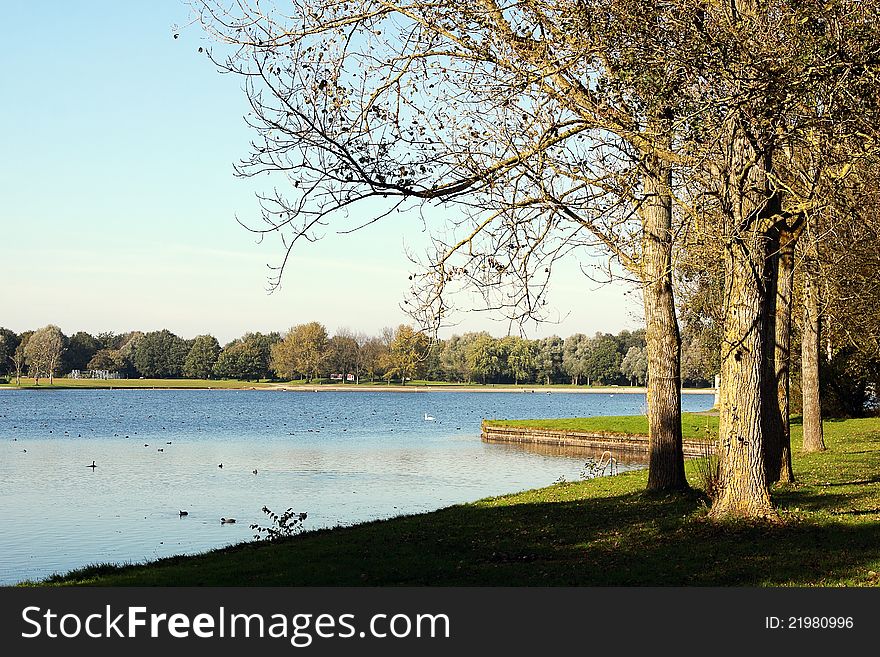 View on trees and lake in the park. View on trees and lake in the park