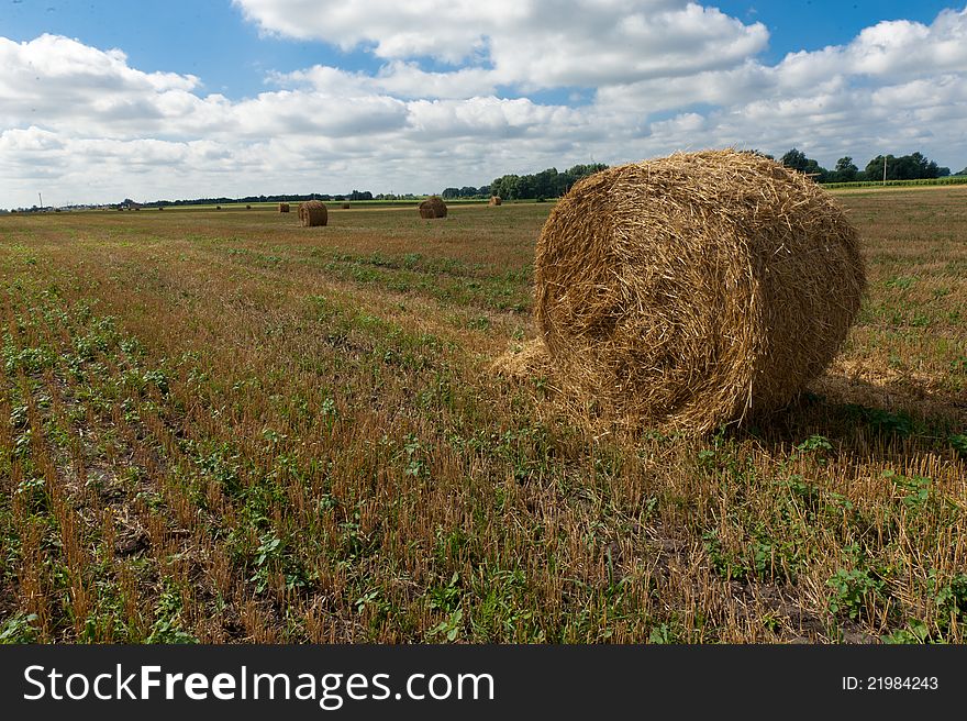 Portrait of a straw bale in a beautiful meadow. Portrait of a straw bale in a beautiful meadow