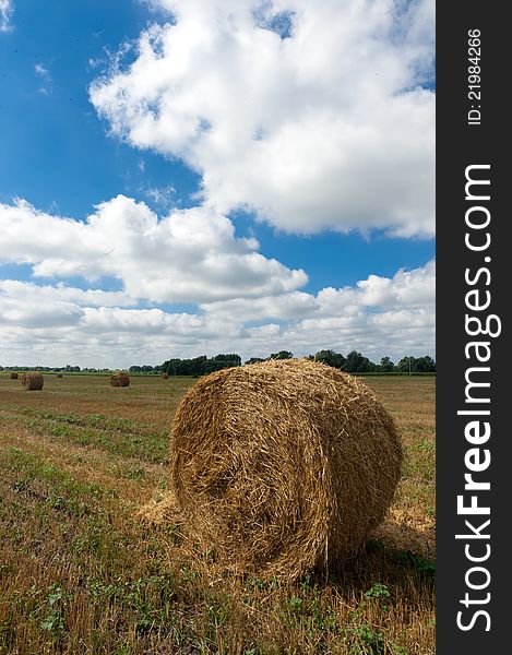 Portrait of a beautiful rural landscape - rolls of hay on the field, cloudy sky and a wonderful horizon. Portrait of a beautiful rural landscape - rolls of hay on the field, cloudy sky and a wonderful horizon