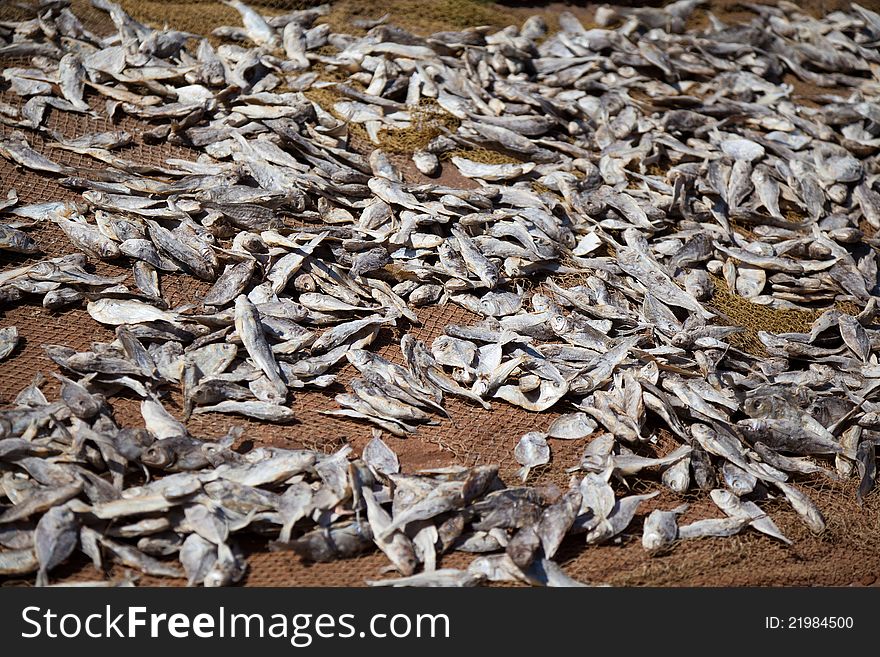 Dried Sea Fish