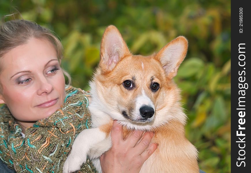 Puppy of welsh corgi pembroke with owner outdoor autumn