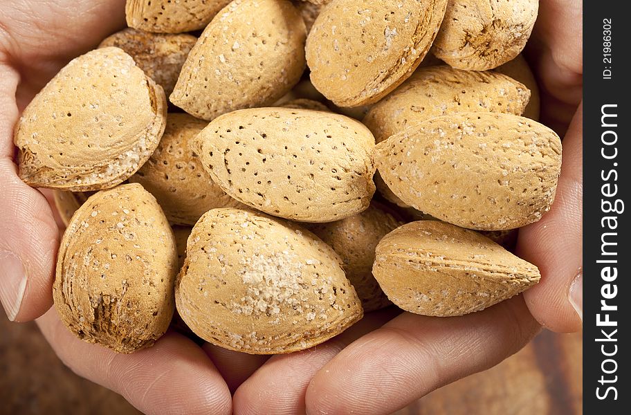 Almonds held in palms