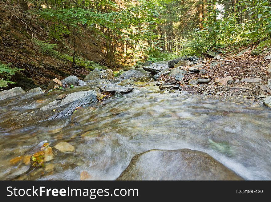 Blurred spring in forest, motion blur of river