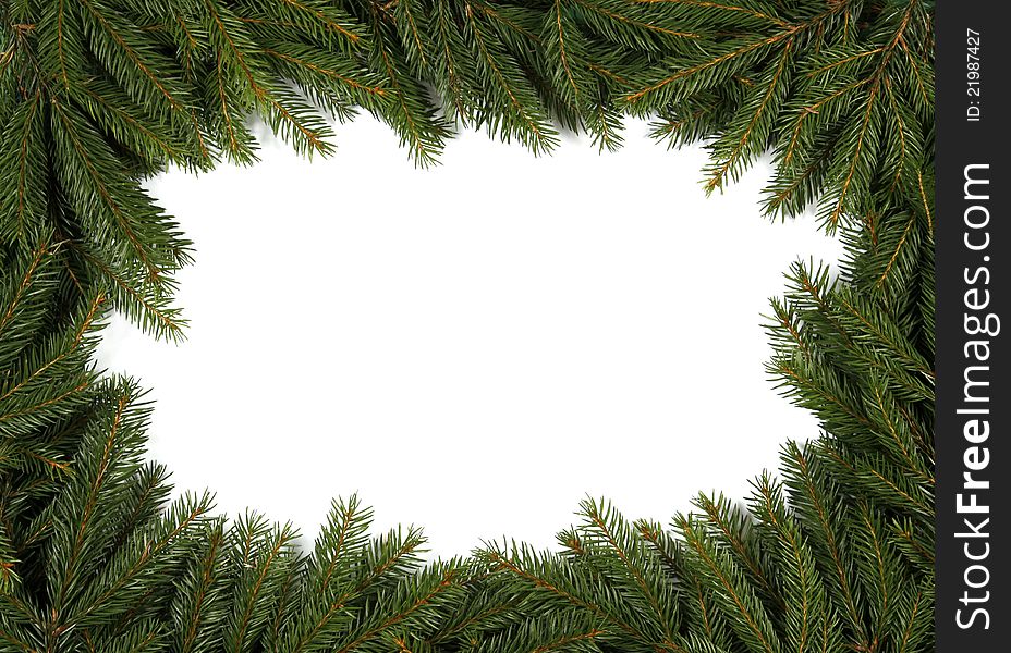 Frame from green twigs of the spruce. Frame from green twigs of the spruce