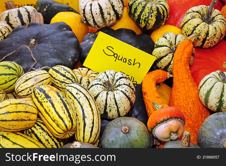 Colorful gourds and squash at market