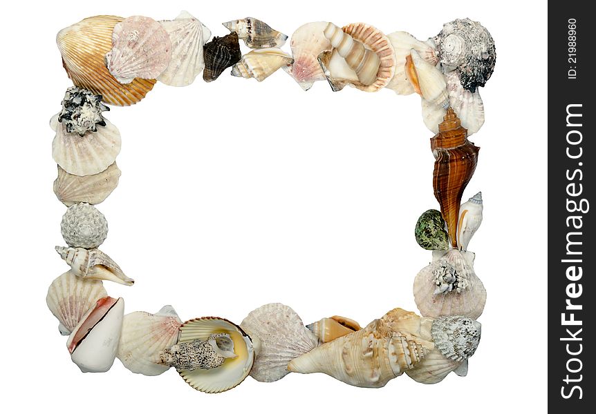 Frame made of shells, place for text