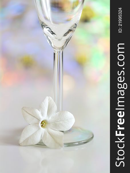 Glass with white flower on colorful glow background. Glass with white flower on colorful glow background