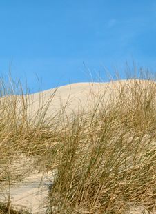 Dunes On The Island Royalty Free Stock Images Dunes On The Island Royalty Free Stock Images