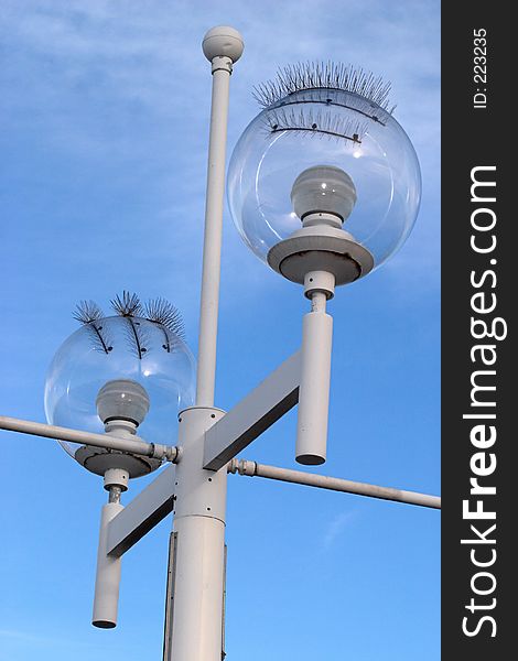 Seagull-proof Street Lamp