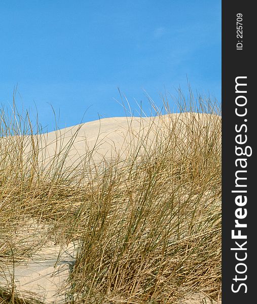 Dunes on the island of Sylt, Germany. I would be completely happy if I hear from you where this image is used. Thank you!!!