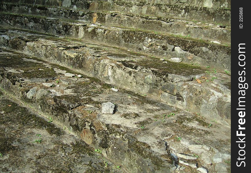 Ancient Stairs in the woods