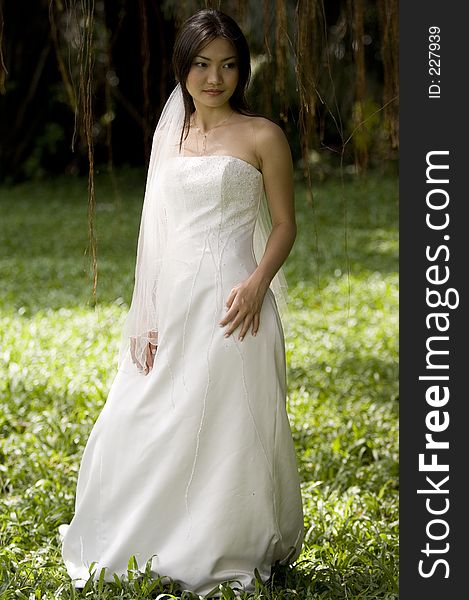 A beautiful asian woman poses in a wedding dress in a tropical natural setting. A beautiful asian woman poses in a wedding dress in a tropical natural setting