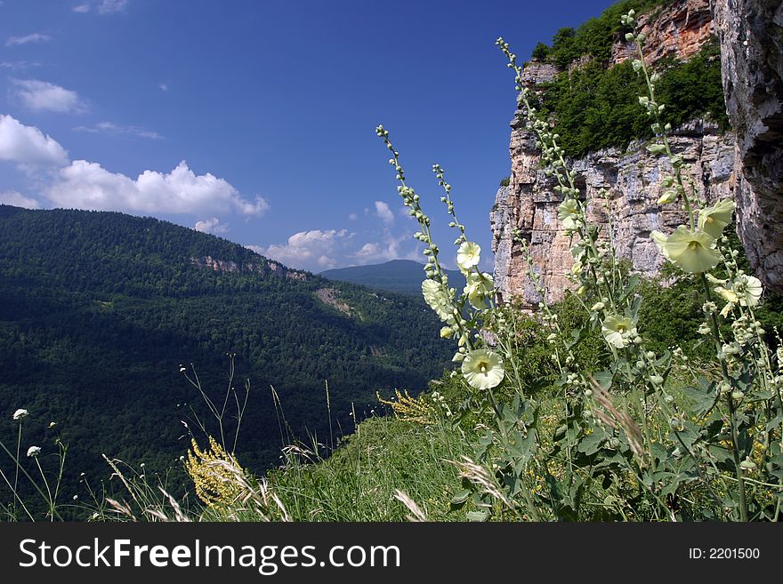 Mountains, rocks and flowers on a green grass. Mountains, rocks and flowers on a green grass