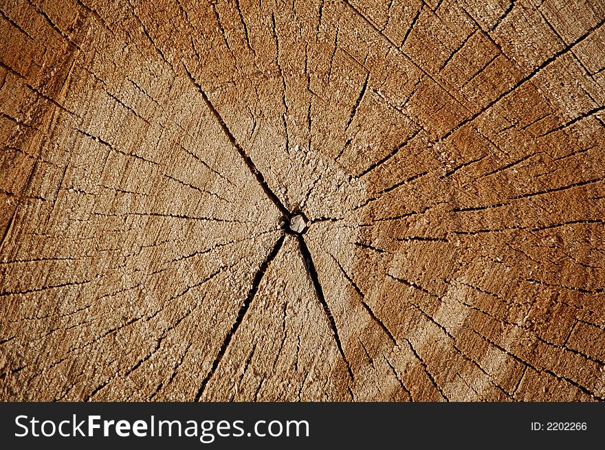 Nice wood pattern rough surface natural texture