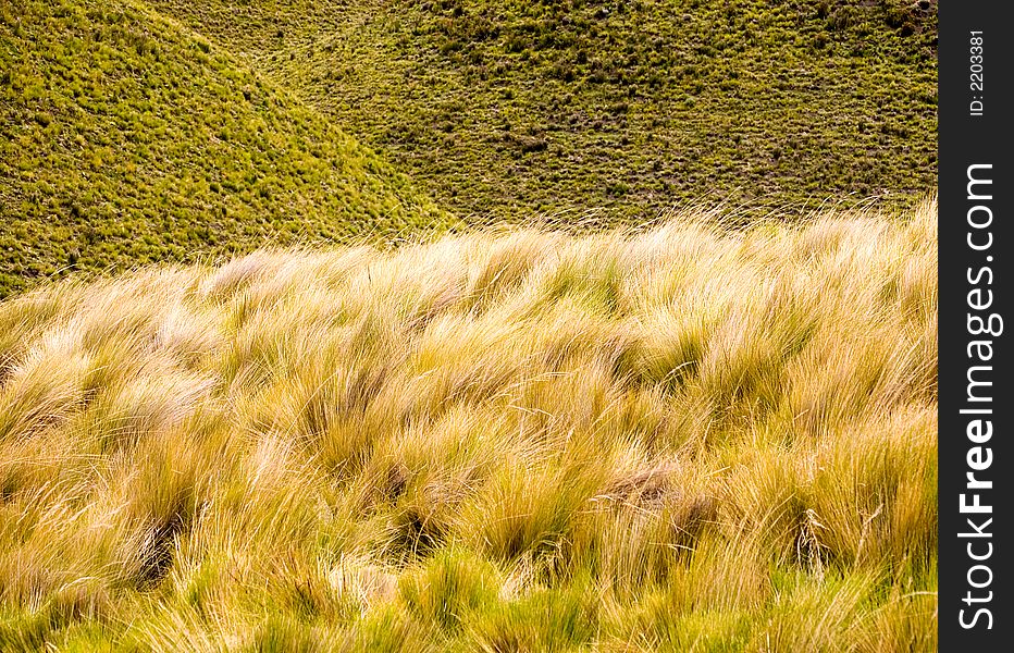 Rural scenic of a pretty hay field. Rural scenic of a pretty hay field