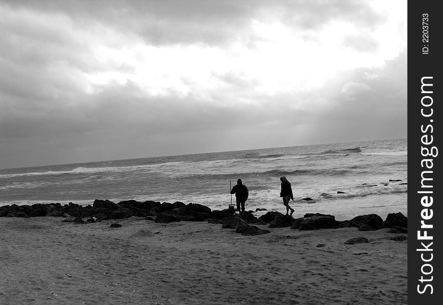 Shell hunters searching along Caspersen Beach in Venice, FL