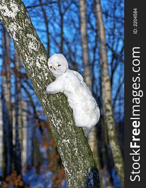 Snowman on a birch tree