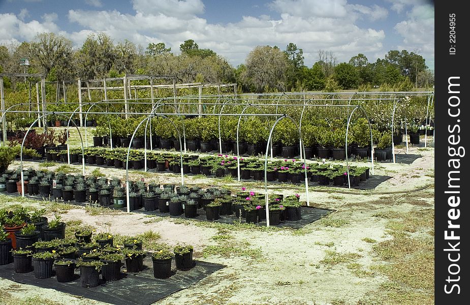 Spring nursery beds with annuals and perennials ready for the spring planting season. Spring nursery beds with annuals and perennials ready for the spring planting season.