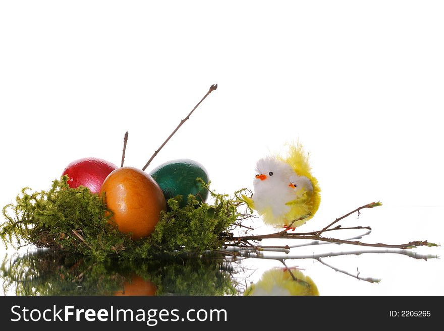 Colored easter eggs in a jack from a moss and branches