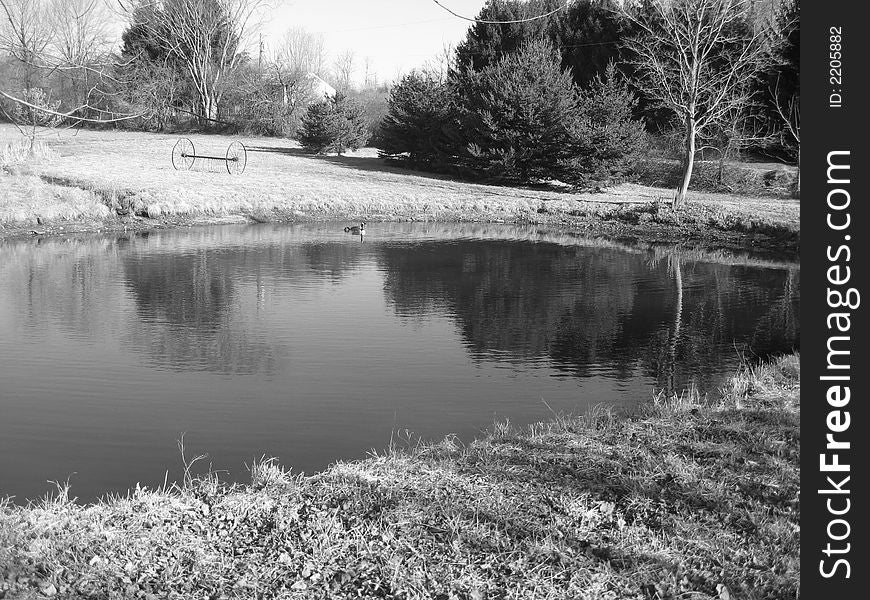 Pond in the country in gray