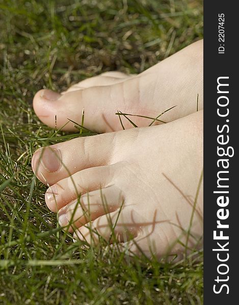 Walking Barefoot In Grass
