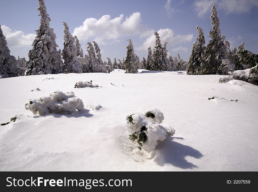 Way to Snezka mountain under snow