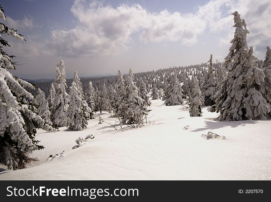 Way to Snezka mountain under snow