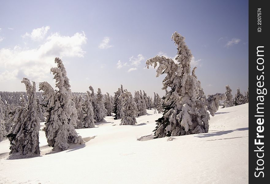 Way to Snezka mountain under snow