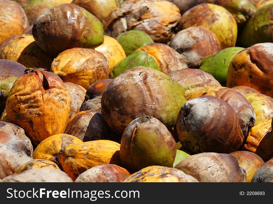 Coconuts taking up entire picture frame