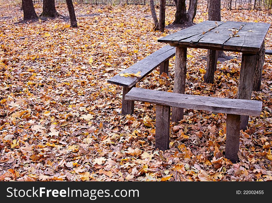 Picnic place at autumn forest