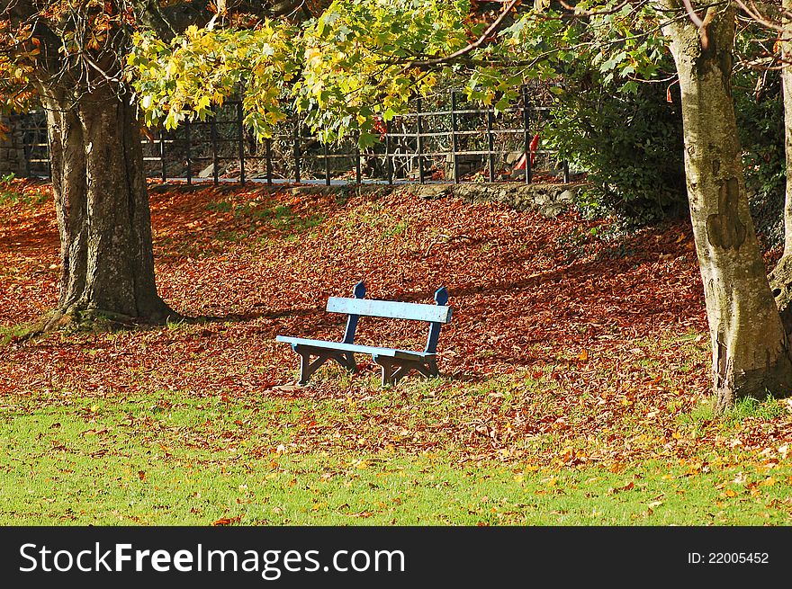 A blue seat amidst a scattering of fallen Autumn leaves. A blue seat amidst a scattering of fallen Autumn leaves
