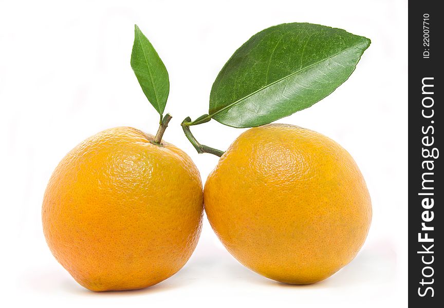 Two fresh oranges, with leaves.