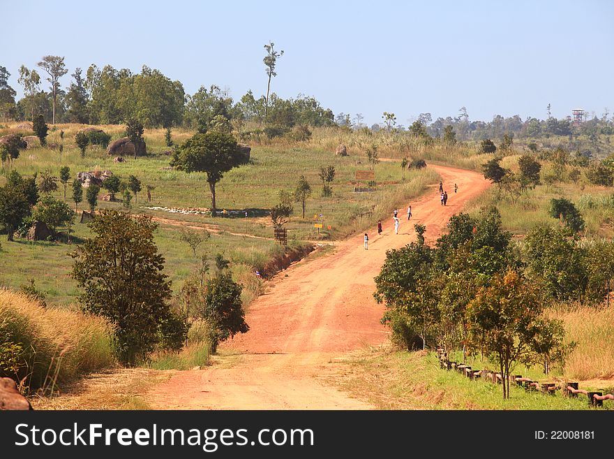 Curve Dirt Road