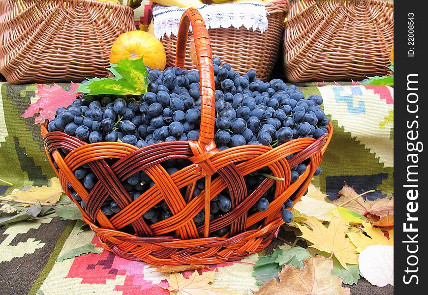 Grapes in the basket. Grapevine over carpet and leaves background