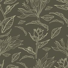 Vector Seamless Floral Vintage Pattern Royalty Free Stock Image Vector Seamless Floral Vintage Pattern Royalty Free Stock Image