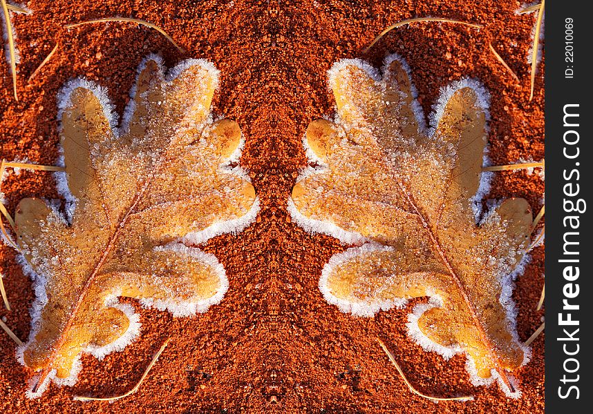 Oak leaf with frost on red court background