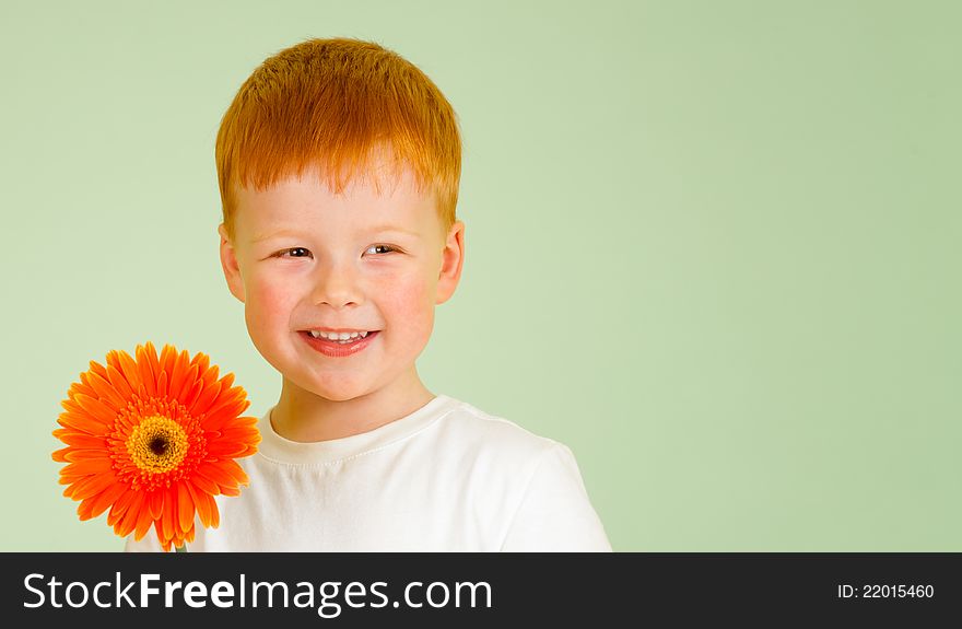 Adorable redheaded boy with orange African daisy on green background