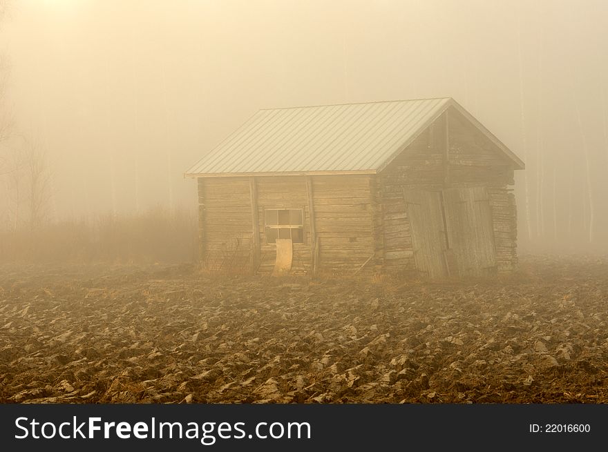 November morning mist and an old shed.
