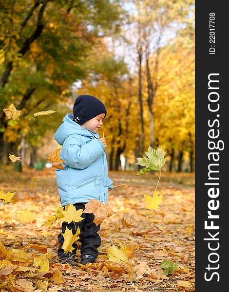 Little smiling boy in autumn park. Little smiling boy in autumn park