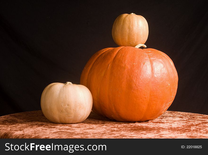 Pumpkins have always been seen as something more than just a vegetable. In Anglo-Saxon countries pumpkin is used for the construction of the Jack o lantern, lantern rudimentary feature used during Halloween to ward off witches and ghosts that come out during the holidays by GREENWOOD, connecting the world of the living to the dead