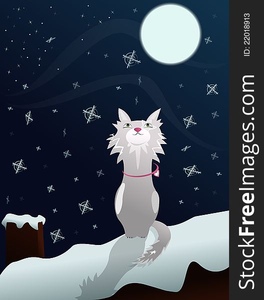 Cat on snowed roof, night with moonlight. Cat on snowed roof, night with moonlight